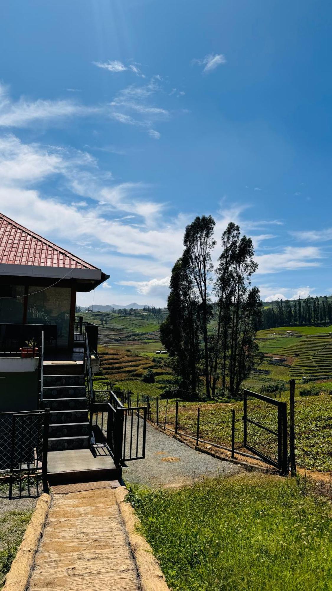 Bed and Breakfast The Wooden Springs Утакаманд Экстерьер фото